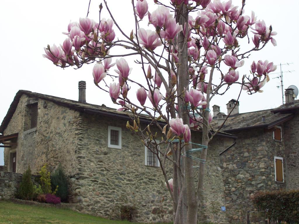 Villa Casa San Martino Teglio Esterno foto