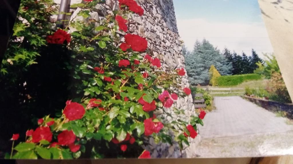 Villa Casa San Martino Teglio Esterno foto